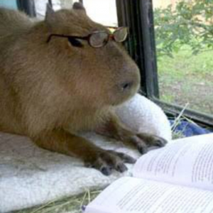 Screenshot20220413 125908twitterjpg — Capybara option 47