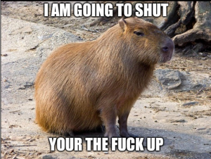 Screenshot20220414 090658chromejpg — Capybara option 50