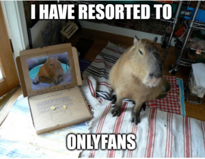 Screenshot20220414 091052chromejpg — Capybara option 52