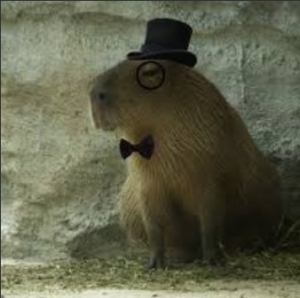 Screenshot20220414 122425googlejpg — Capybara option 57