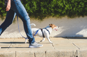 Walkjpg — cardio workouts option 12