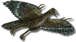Archiopterixpng — Carnivores dinosaur hunter creatures tier list option 4
