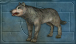 Carnivoresiceagewolfpng — Carnivores dinosaur hunter creatures tier list option 13