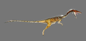 Coelo1rtdstljpg — Carnivores dinosaur hunter creatures tier list option 20