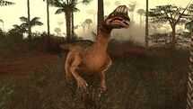 Oviraptorjpg — Carnivores dinosaur hunter creatures tier list option 46
