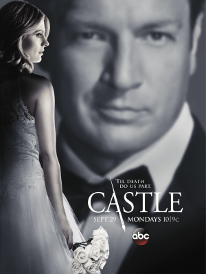 7ba6890d B330 4742 91e5 4bdb0e68c68djpeg — Castle Posters option 8