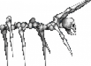 Zz1594535665skelespidpng — Castlevania Skeletons option 37