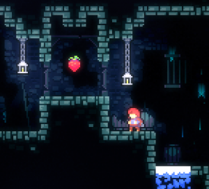 2 13png — Celeste Berries option 24