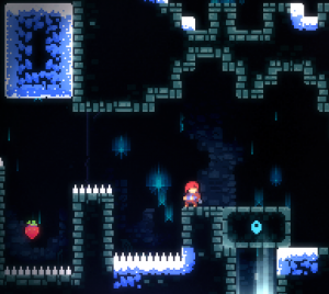 2 14png — Celeste Berries option 25