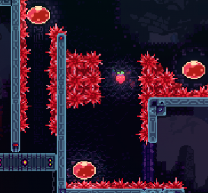5 6png — Celeste Berries option 120