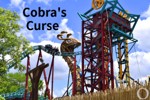 Cobrascursejpg — Central Florida Roller Coasters option 5