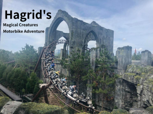 Hagridpng — Central Florida Roller Coasters option 9