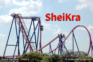 Sheikrapng — Central Florida Roller Coasters option 26