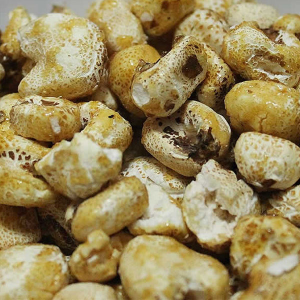 Cocolichejpg — Cereales Perú +100 option 25