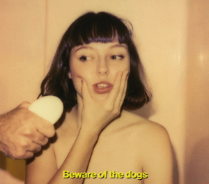 Bewareofthedogsjpg — pr esidential albums option 7