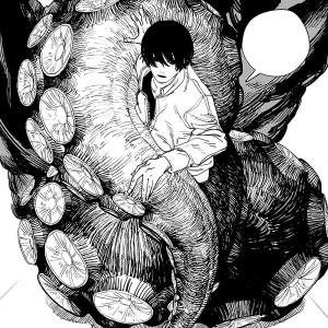 1a5cb3b4 Eed5 4422 Bfe9 0e2478a239a9jpeg — chainsaw man option 3