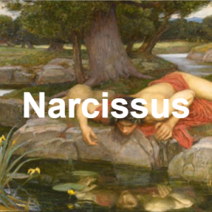 Image 96png — Characters of Classical Greek Myth option 137