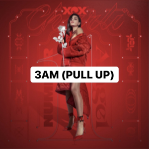 54d1af2b 3df1 49b7 9ca2 B4cc9efb6bf4jpeg — CHARLI XCX SONGS option 24