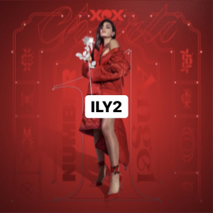 Bdb26e3f Fbe1 4ff3 8730 851f812e3598jpeg — CHARLI XCX SONGS option 44