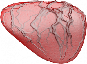 Heartofdarknesspng — Chicken Invaders Bosses option 23