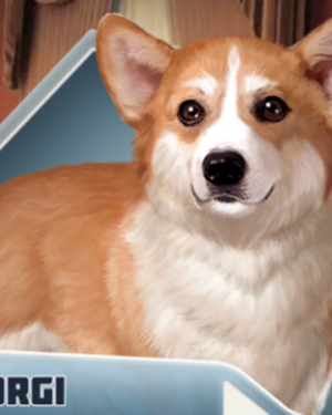 Corgipng — Choices : TRR characters option 9