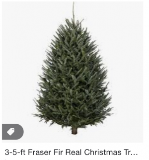 5cb86fe2 A12e 4e61 91e9 3a2eb2d7f369jpeg — Christmas Things option 7