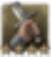 24png — CK3 Traits option 132