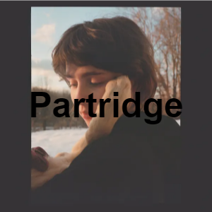 Partridgepng — Clairo Songs Tier List (2021) option 27