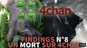 5a4aa443 6f57 45df Baa6 Baa85c2644f1jpeg — Classement vidéos findings Feldup option 27