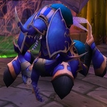 Anubjpg — Classic WoW Raid Encounters option 3