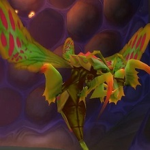 Huhujpg — Classic WoW Raid Encounters option 20