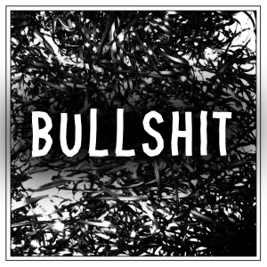 Bullshitjpg — Every clipping. song option 14
