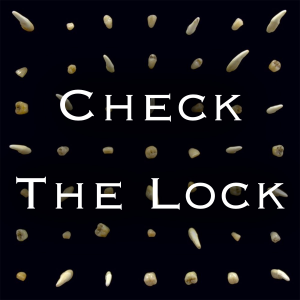 Check The Lockjpg — Every clipping. song option 16