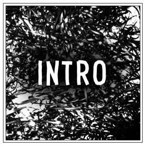 Introjpg — Every clipping. song option 31