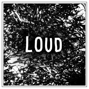 Loudjpg — Every clipping. song option 36