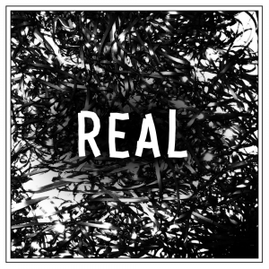 Realjpg — Every clipping. song option 45