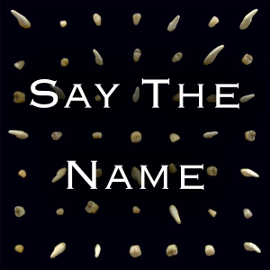 Say The Namejpg — Every clipping. song option 48