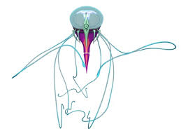 Images 1jpg — Code Lyoko Monsters option 1