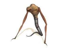 Tlchargement 7jpg — Code Lyoko Monsters option 11