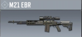 Img20201107232450jpg — Codm gun tier list option 17