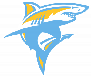Long Islandpng — College Basketball Logo 003 option 139