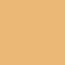 Images 2png — Colour Tier List option 26