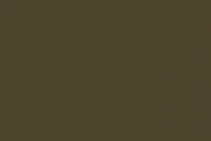 Pantone 448 C Worts Color 720x720png — Colour Tier List option 33