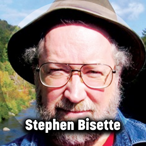 Zz1589177832stephen Bisettepng — Comic Book Artists option 270