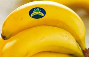 Manilla Platano Producido Canariasediima20171227018333jpg — Comida de Canarias option 16