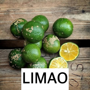 Limojpg — ACOMPANHANTES DO CHURRASCO option 12