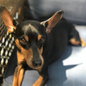 Justin Pfpjpg — Competitive Fortnite Mobile Players option 14