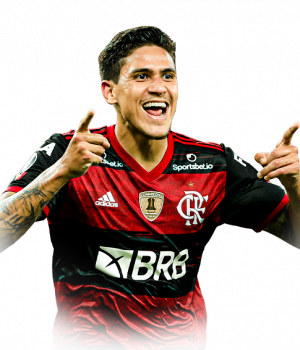 Pedropng — Convoque Seleção Brasileira option 52