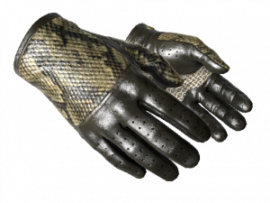 Cpng — CS:GO Glove Tiers option 14