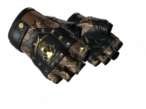 Hpng — CS:GO Glove Tiers option 23